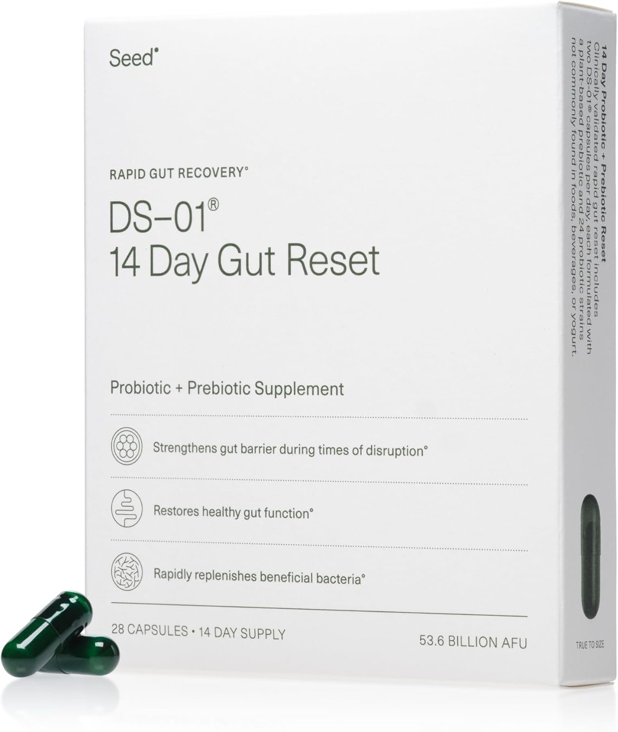 Seed 14 Day Gut Reset – Prebiotic and Probiotic for Women & Men – Digestive Health, Gut Health, Rapid Gut Recovery, Bloating & Constipation Relief – Vegan & Shelf-Stable – 28 Capsules (14-Day Supply)