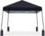 ABCCANOPY Stable Pop up Outdoor Canopy Tent, Black